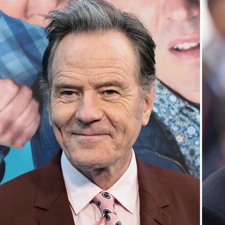 Bryan Cranston joked about Shia LaBeouf's legal troubles during an interview with Frankie Muniz, who revealed he almost starred in "Holes."