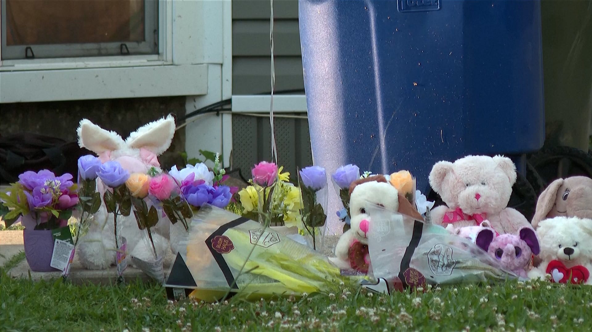 ¿Puede detenerse el abuso familiar mediante leyes de intimidación psicológica? Estos estados lo están intentando.