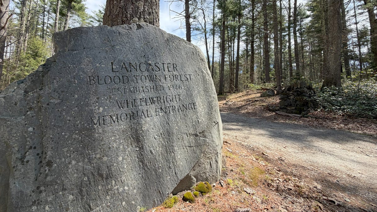 The entrance to Lancaster's Blood Town Forest