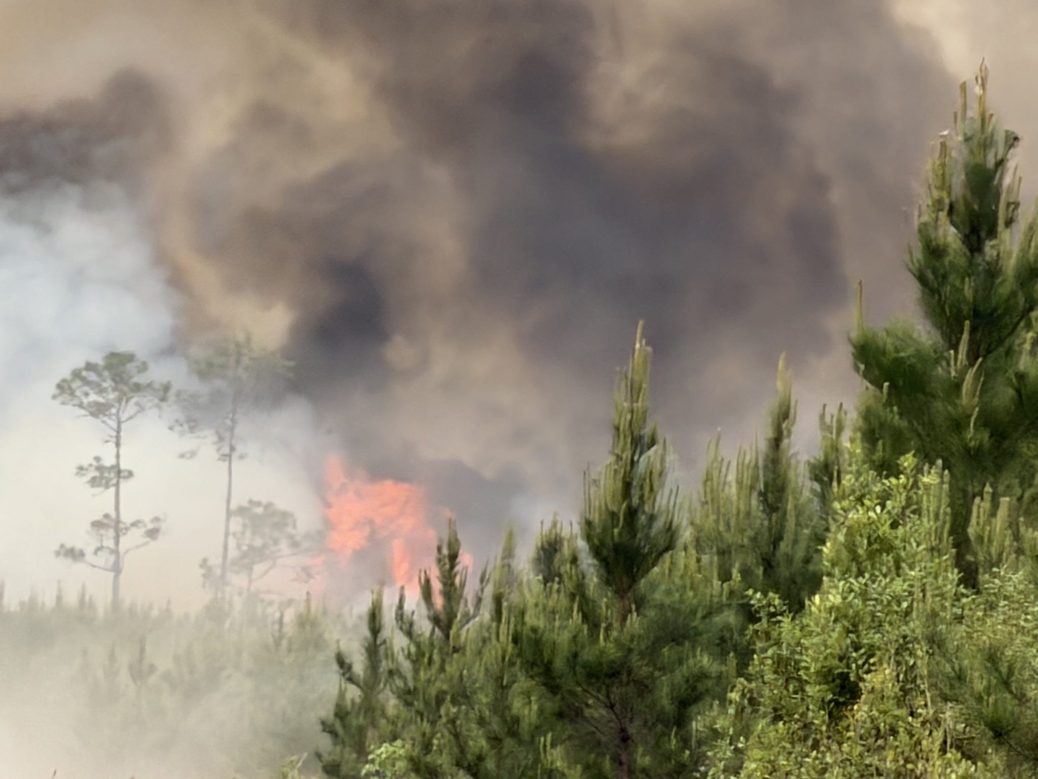 A fast-growing wildfire in south Georgia doubled in size over the weekend, prompting potential evacuations in the region.