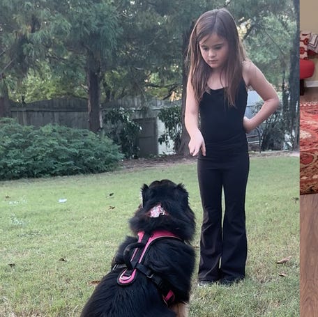 See kids work with pet trainer to teach dog the 'down' command
