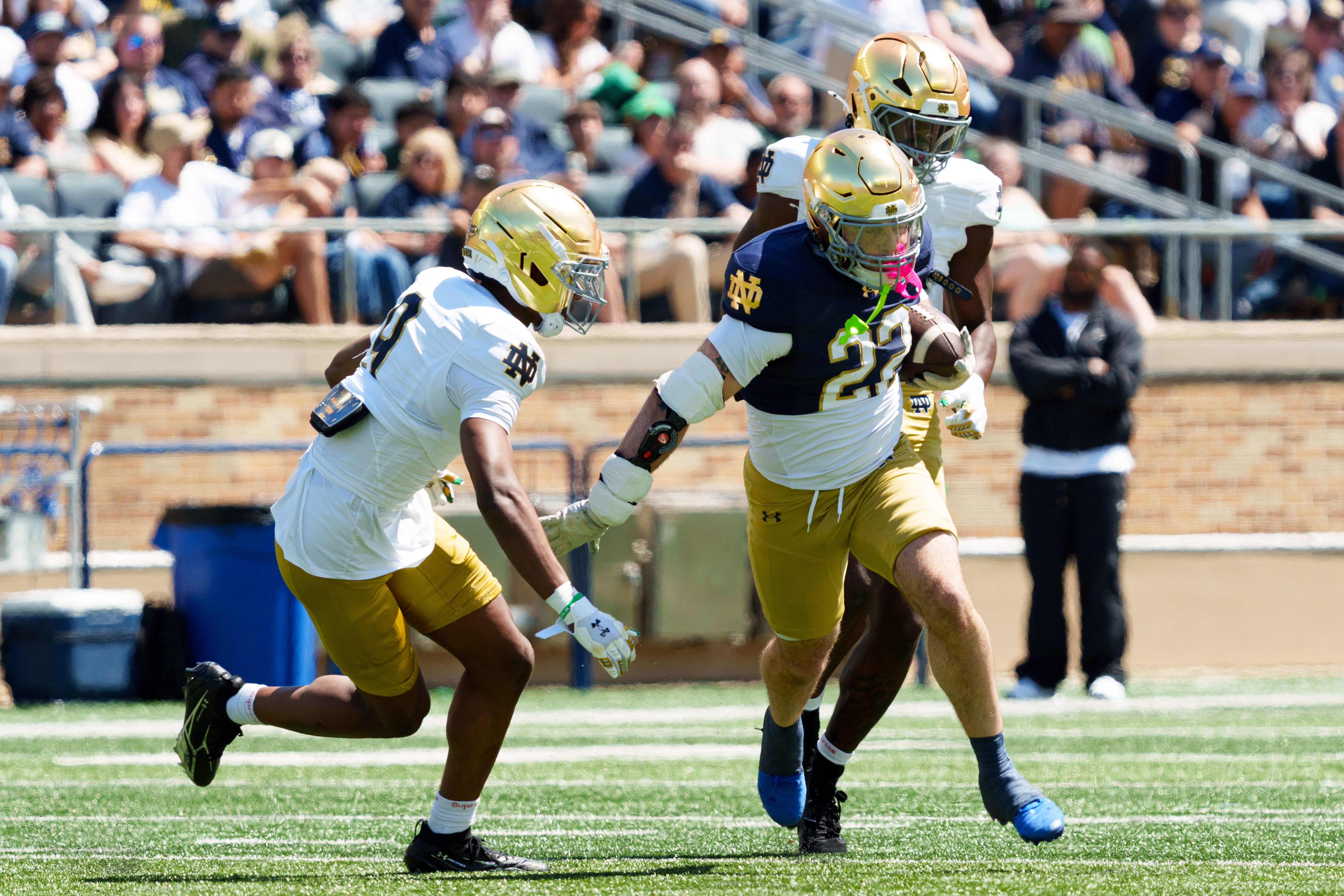 Aneyas Williams loves the game too much to be a spring spectator | Noie