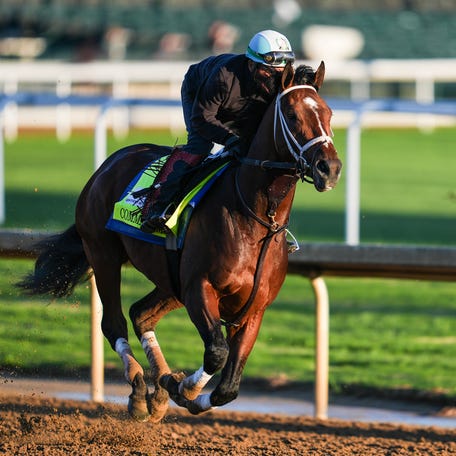 2026 Kentucky Derby contender Commandment -- with morning line odds of 6-1 -- works on the track at Churchill Downs. Louisville native Brad Cox is the trainer. April 30, 2026
