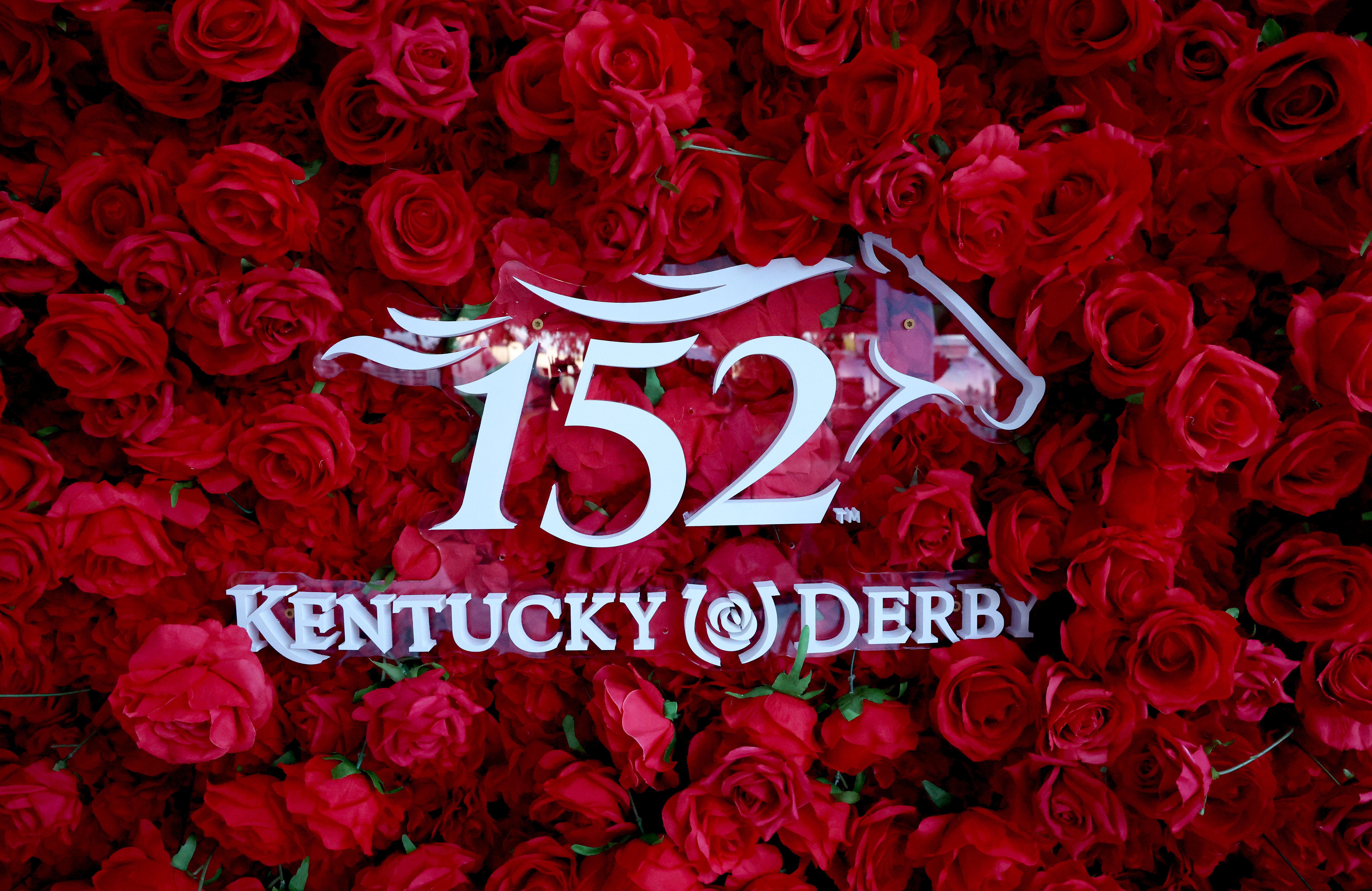 Roses on display during the morning training for the 152nd Kentucky Derby at Churchill Downs on April 30, 2026 in Louisville, Kentucky.