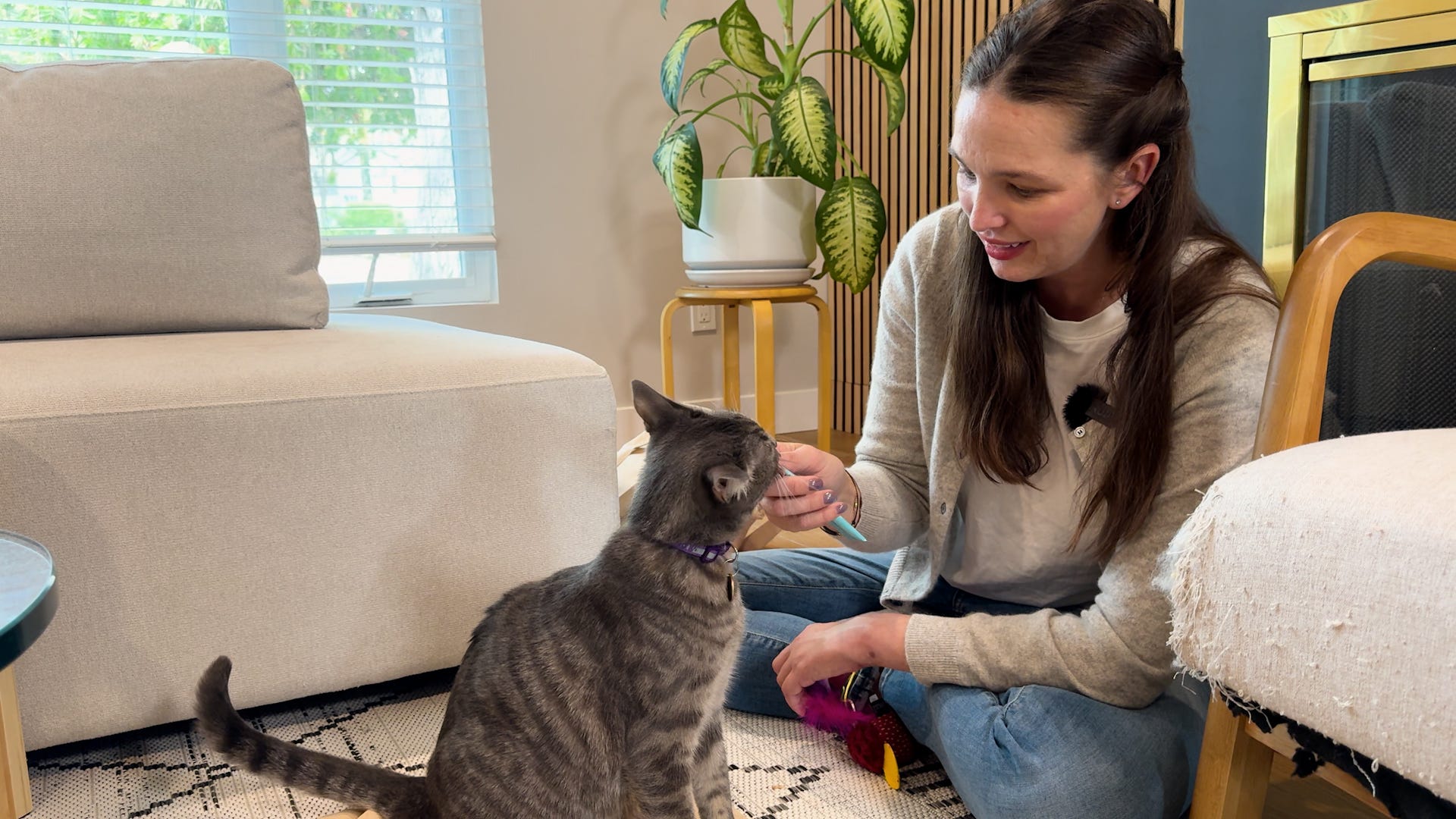 https://www.gannett-cdn.com/authoring/authoring-images/2026/04/30/USAT/89875840007-20260418-pets-national-adopt-a-shelter-pet-day-thumbnail-02.jpg?auto=webp&crop=1919,1079,x0,y0&format=pjpg&width=1200