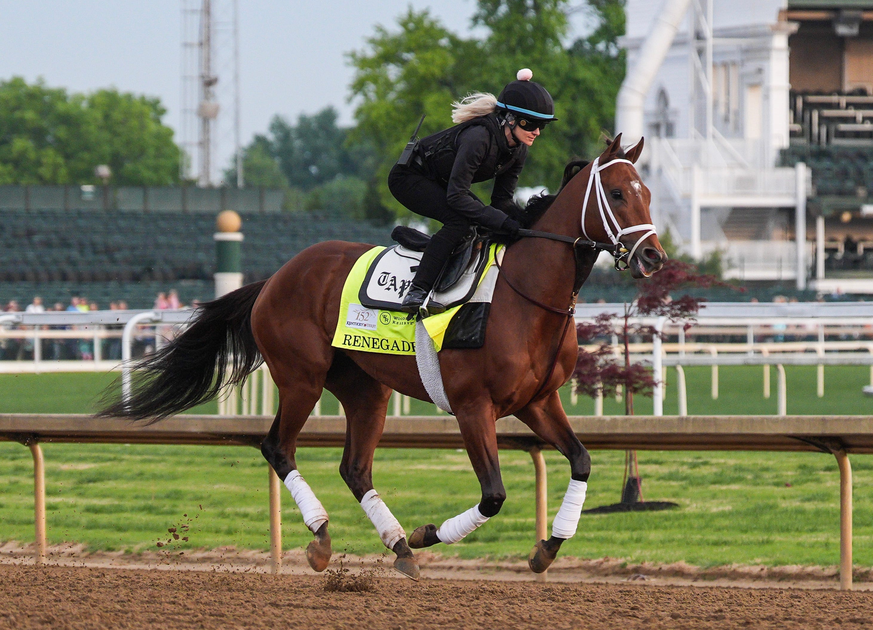 Renegade horse at Kentucky Derby