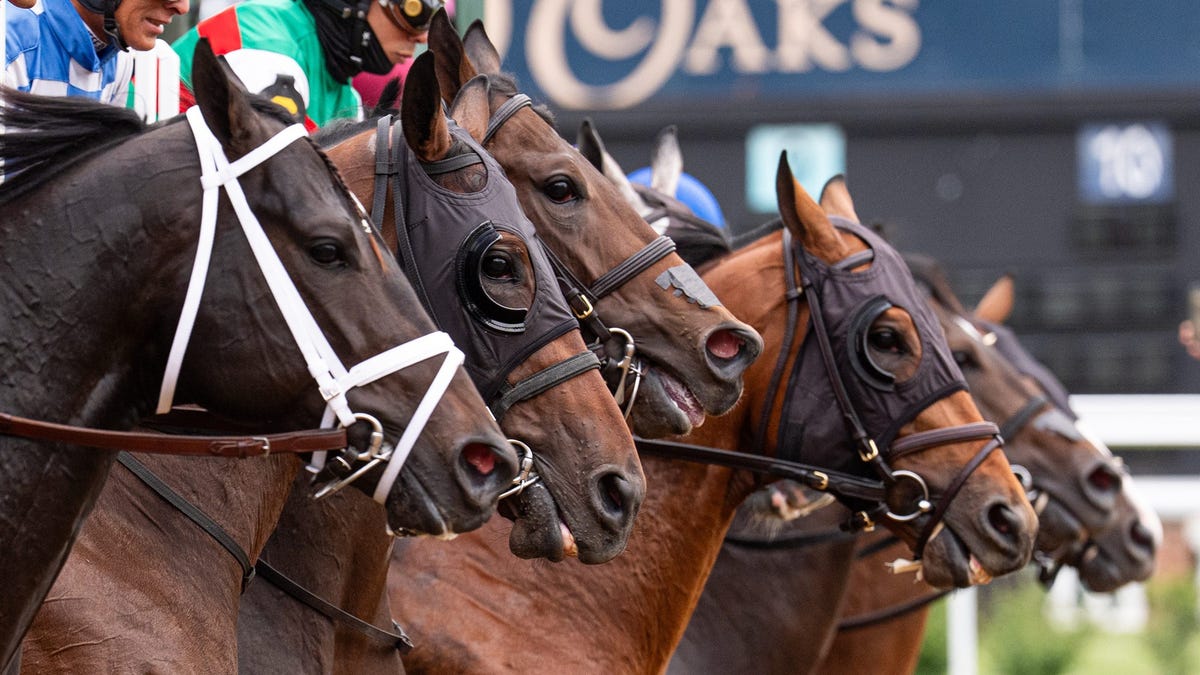 Horses break from the starting gate in the first race of the day at the 152nd Kentucky Derby at Churchill Downs on May 2, 2026.