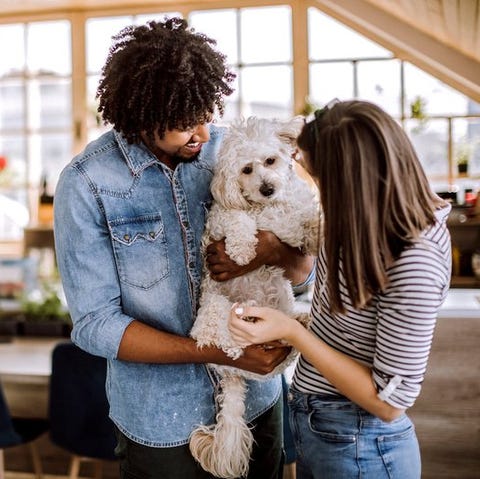 Millennial couple holding dog inside home.