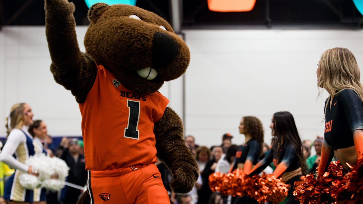 Oregon State Beavers football announce official 2024 schedule: What to know