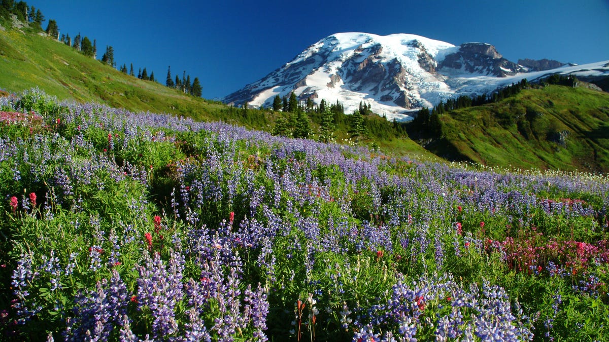 This Washington city has one of the most Instagram worthy commutes in the US, report says This Washington city has one of the most Instagram worthy commutes in the US, report says