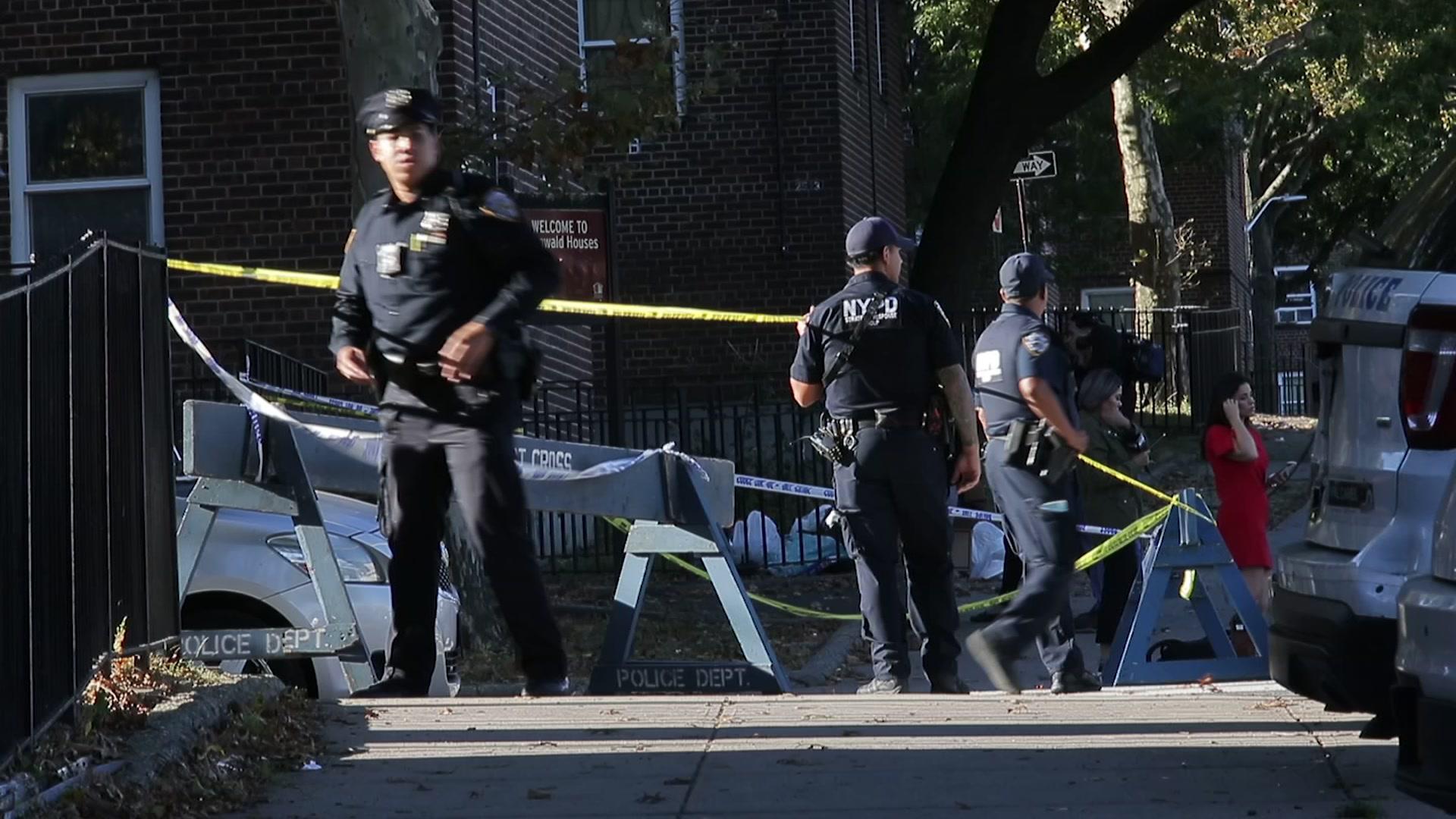 New York City police officer shot and killed