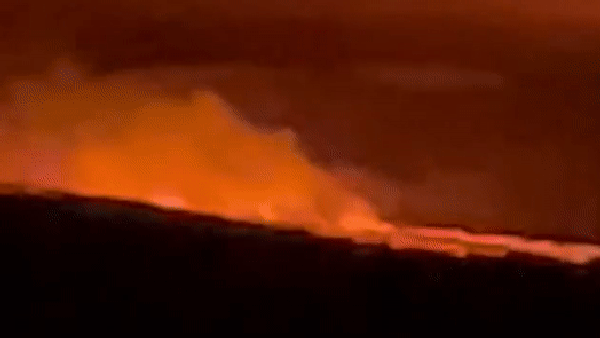 Mauna Loa, world's largest active volcano, erupts