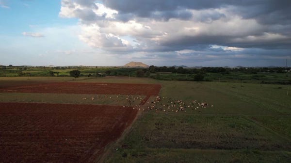 India farmers restore arid land