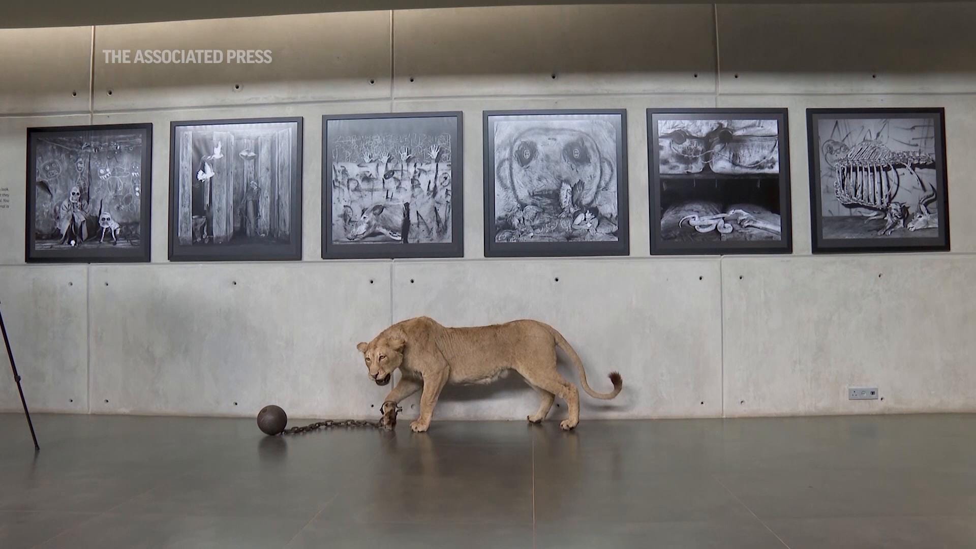 Artist confronts destruction of African wildlife