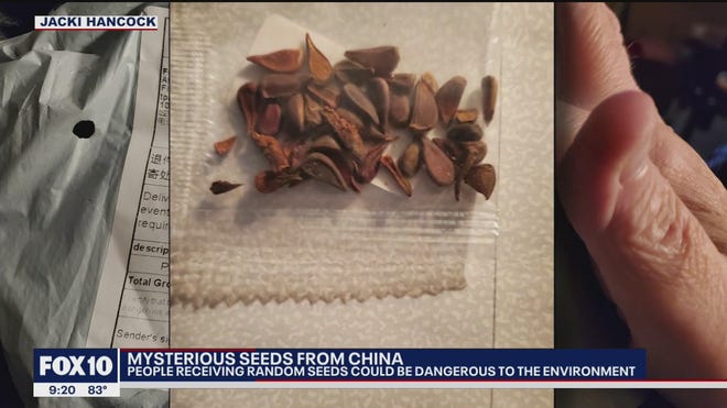 Unsolicited packets of seeds may be mailed from China, states warn