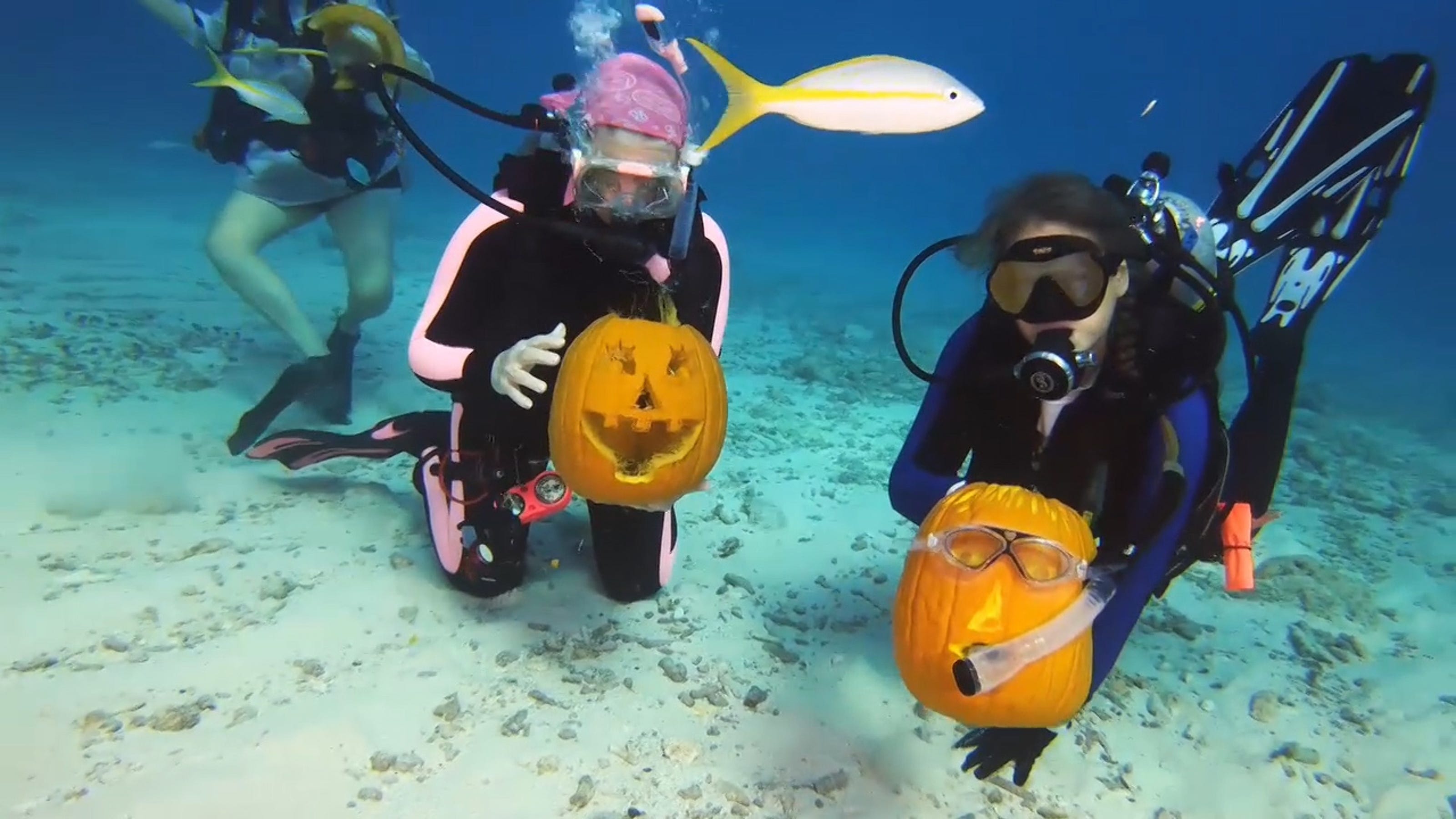 Scuba divers compete in underwater pumpkin carving contest