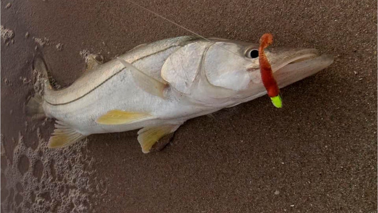 best bait for pompano