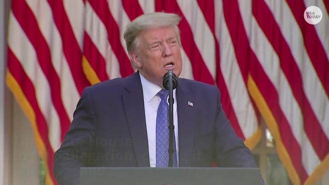 Mary Trump Tell All Book Depicts President As Inept Habitual Liar