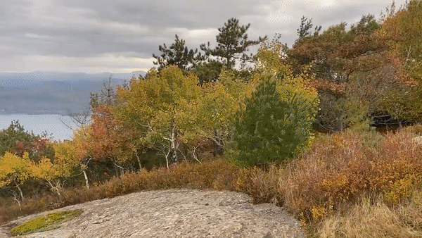 Hikers treated to gorgeous fall view in New York