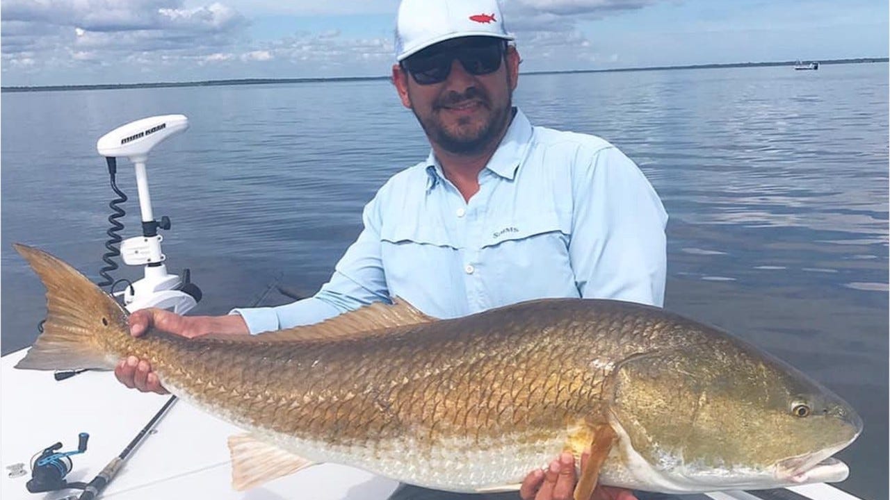 Redfish Black Drum Tarpon And Snook Fishing Will Be Good