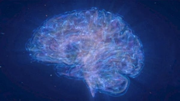 Is the Human Brain Similar to the Universe?