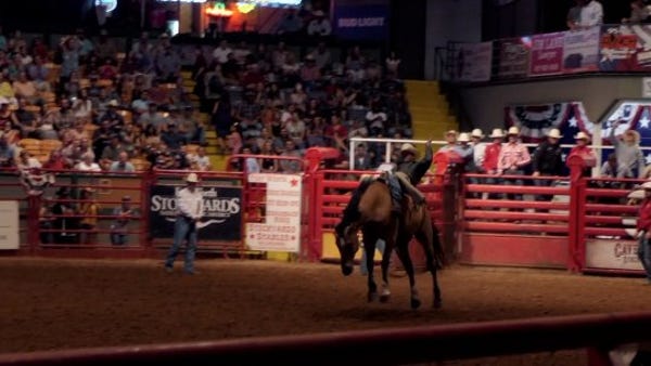 Rodeo causes California county not to reopen