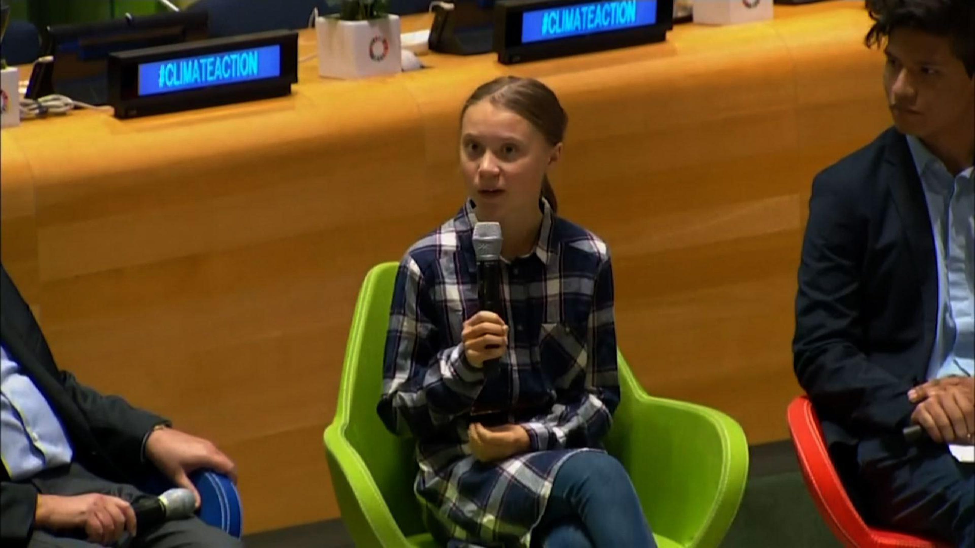 Greta Thunberg Book 2025