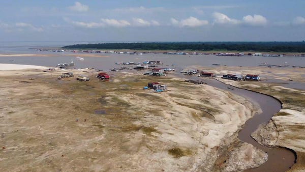 Brazil Amazon deforestation not big election issue