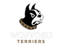 Terriers