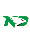 Fighting Hawks