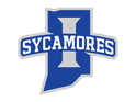 Sycamores