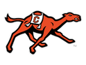 Fighting Camels