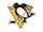 Pittsburgh Penguins