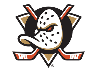 STATS Hosted Solution  Game Recap - Stars v Ducks - NHL - Hockey