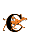 Fighting Camels