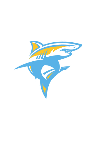 LIU Sharks at Stonehill Skyhawks - WNCAAB Game Summary - Mar 07, 2024 | USA  TODAY