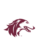 Salukis