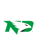 Fighting Hawks