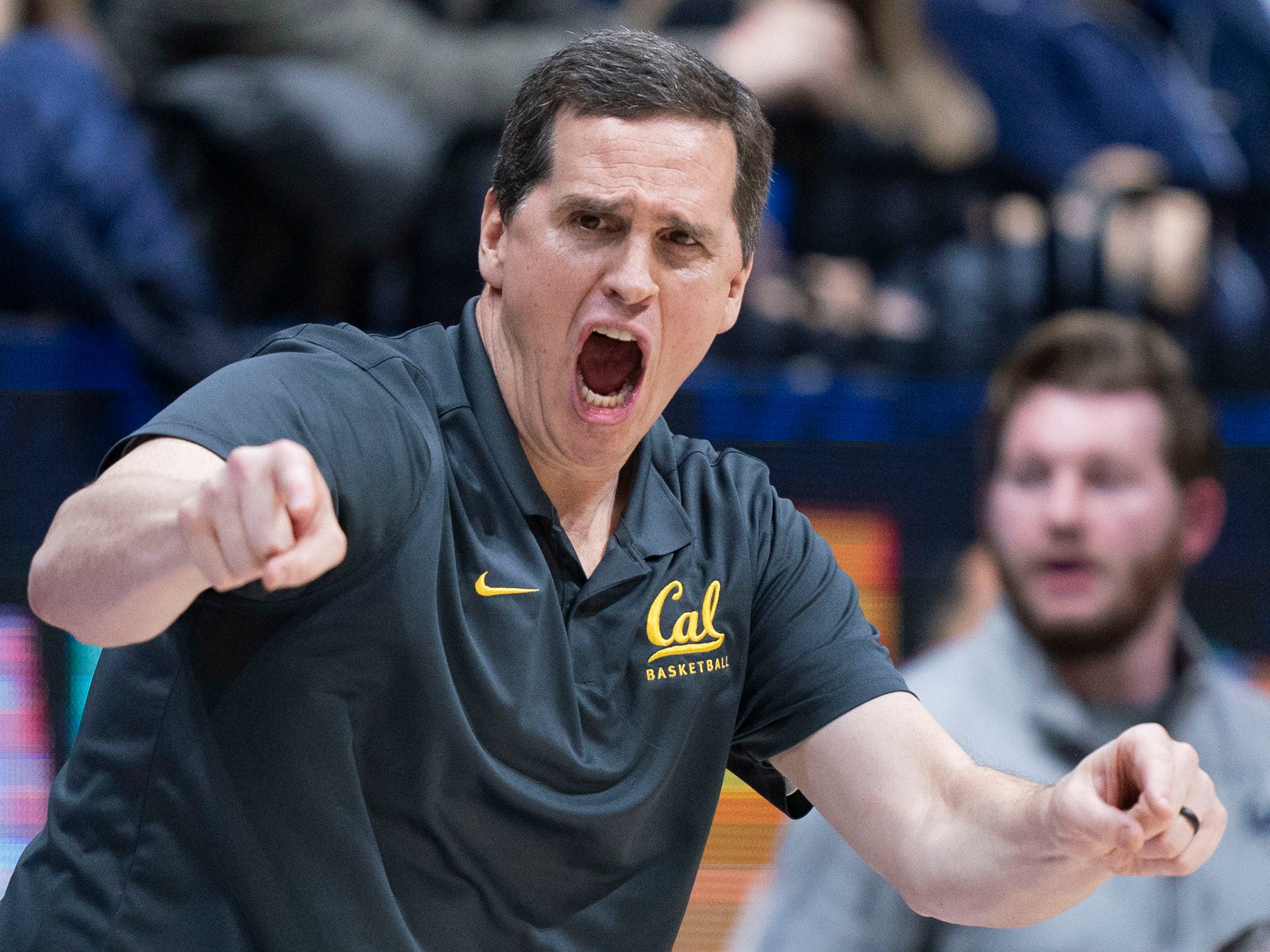California Coach Mark Madsen Salary USA TODAY