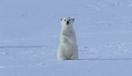 Let It Snow: A brief distraction from 2020 - USA TODAY