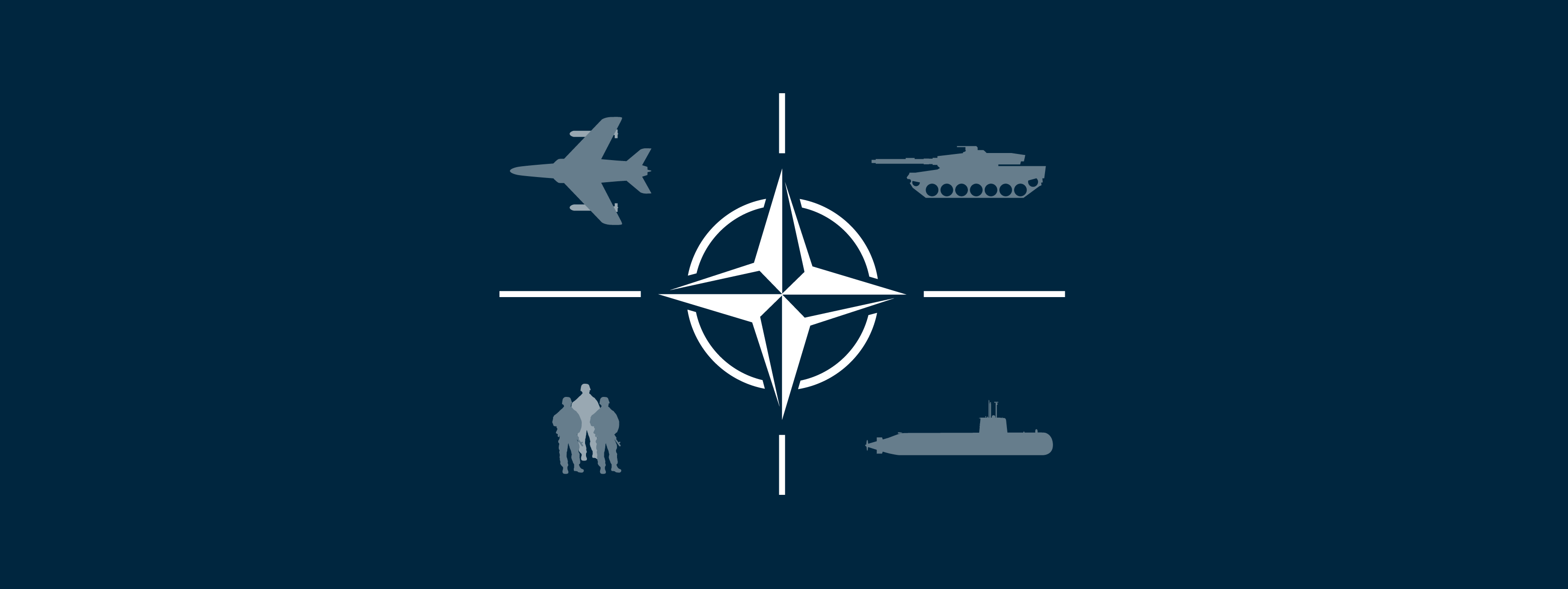 What NATO would gain if Finland and Sweden join the alliance? 5 Graphics thumbnail