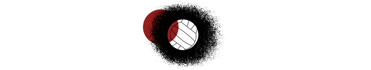 VOLLEYBALL