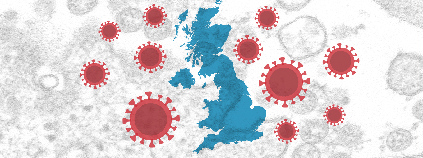 Uk coronavirus UK's daily