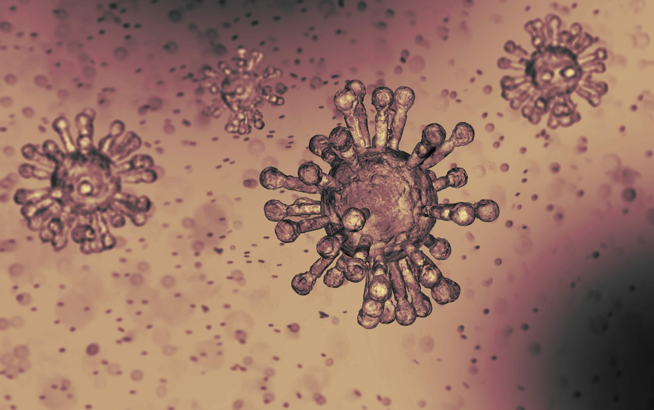 Could Prior Exposure to Common Cold Viruses Affect the Severity of SARS-CoV-2 Symptoms?