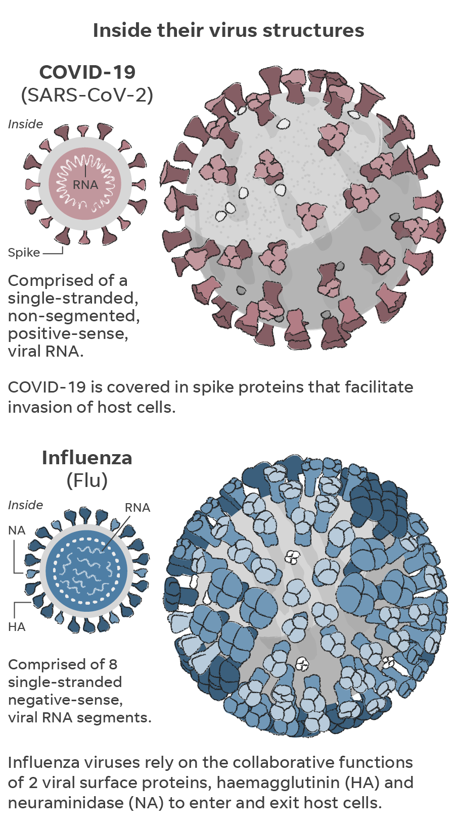 188cfeae-7a70-4f94-9152-1a26456ab1fb-flu