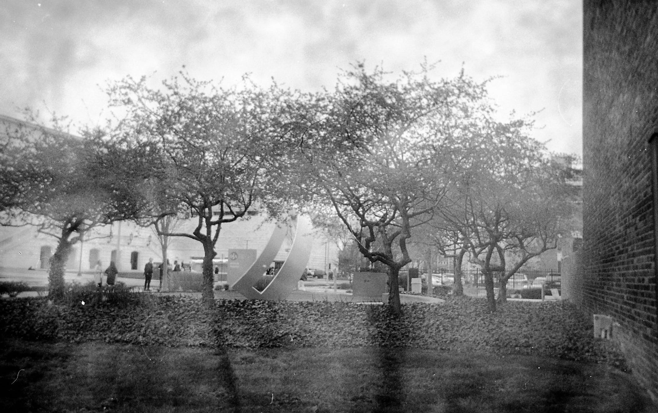 Freep Film Fest attendees take black and white photos on film cameras