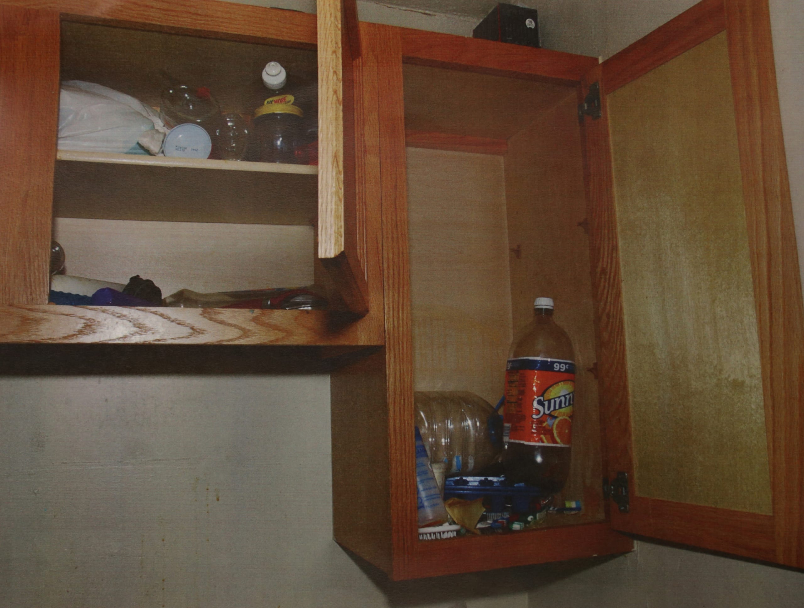 photographic evidence in freezer case