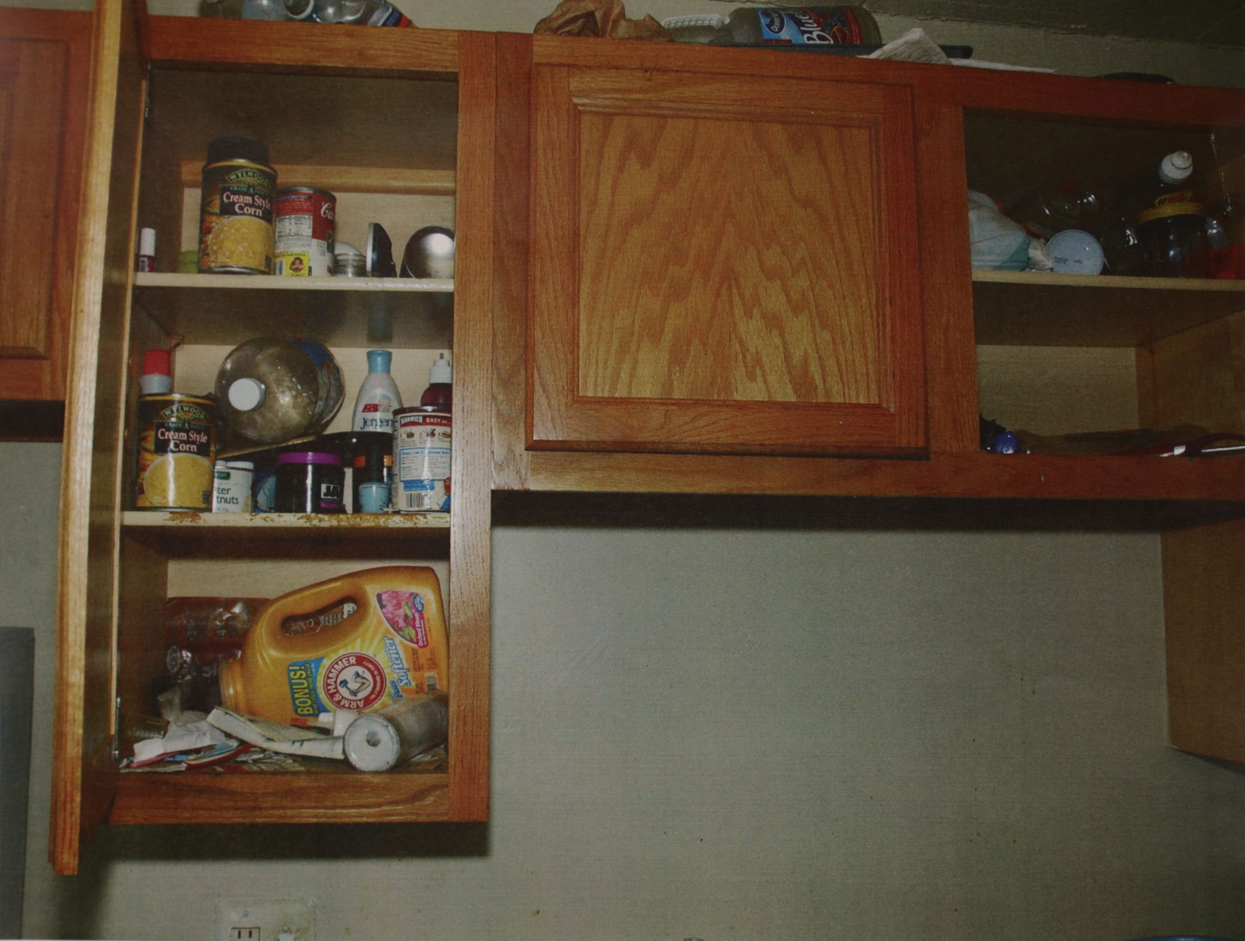 photographic evidence in freezer case
