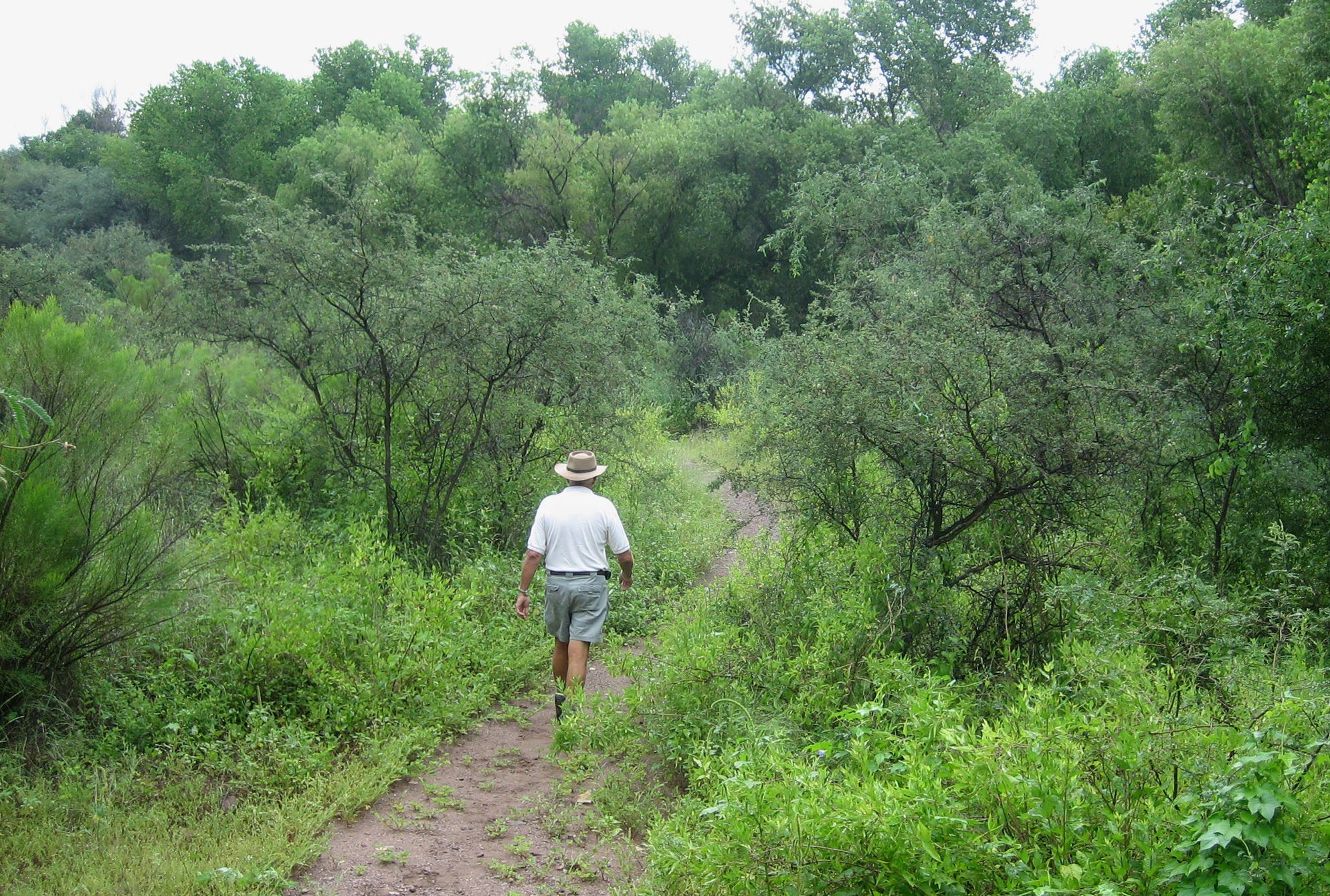 Tubac, AZ Shopping, restaurants and things to do in southern Arizona