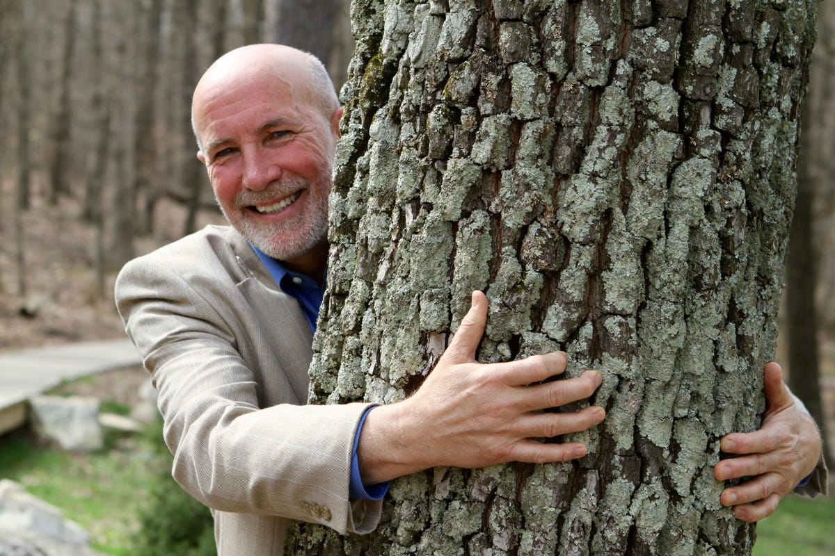 Image result for mark wourms forest under threat
